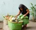 Cestas verdes: famílias do CadÚnico podem se inscrever para receber alimentos gratuitos