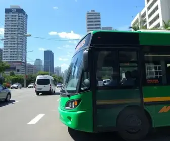 Bilhete Único SP Trans Reclamações: Telefone